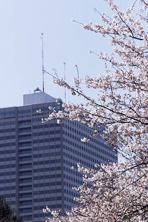 この会社に型枠工事の依頼を出しましょう