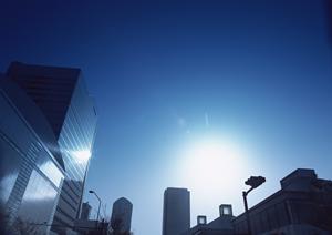 2026年最新版:ジップライン施工の成功ポイントと安全性を徹底解説